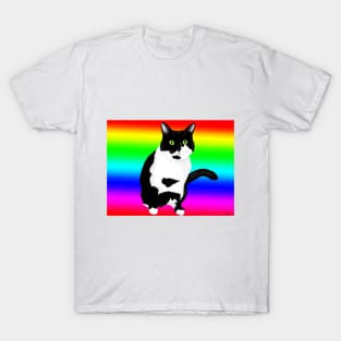 Black and white kitty on rainbow T-Shirt